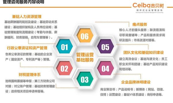 吉贝树管理咨询 赋能企业，构筑卓越管理生态
